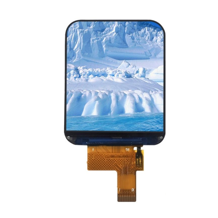 Module LCD TFT de 1,69 pouces