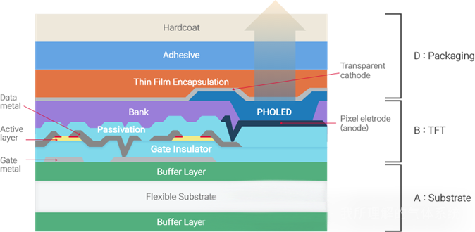 Démystifier AMOLED : innovations dans les fonds de panier LTPO et les technologies de colorisation
