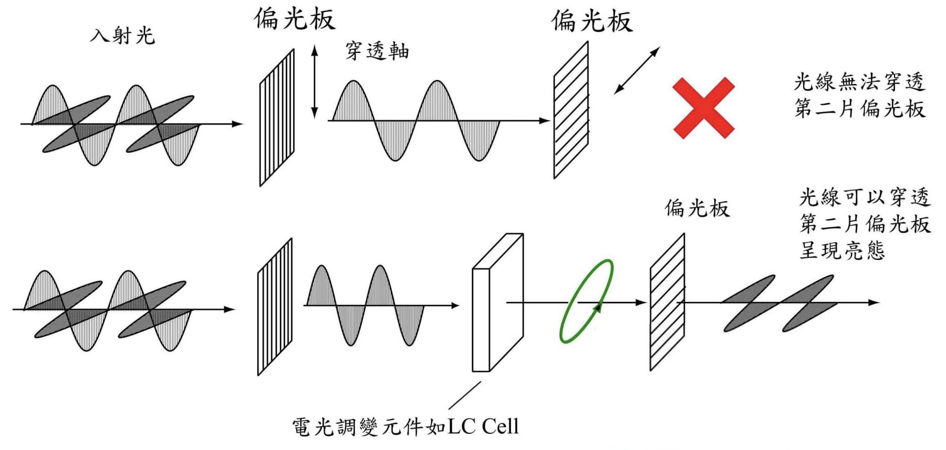 La danse précise de la lumière et de l’ombre : exploration du fonctionnement interne de la technologie d’affichage LCD